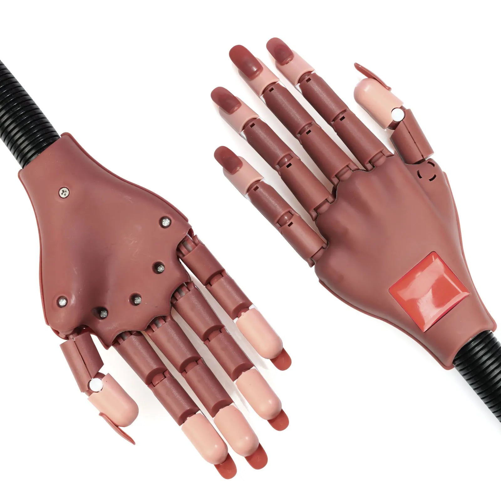 Main d'Entraînement Manucure